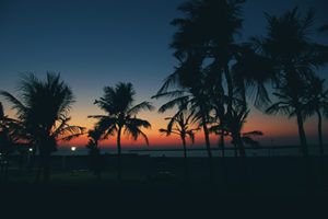 Sonnenuntergang am Palmenstrand